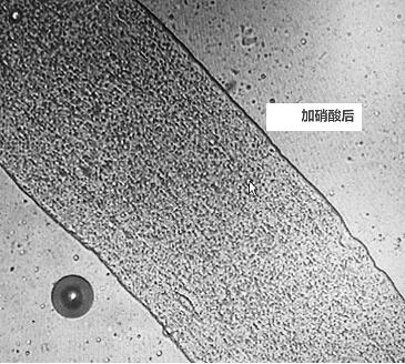 An Improved Qualitative and Quantitative Analysis Method of Modified Polyacrylonitrile Fiber