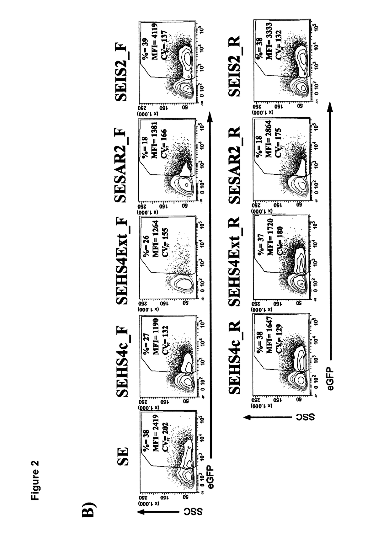 Insulator to improve gene transfer vectors