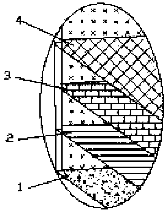 Three-stage type breeding method for large meretrix larvae suitable for northern cold sea areas in China