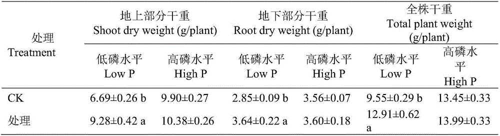 Rhizo-spherical beneficial microorganism-charcoal composite organic fertilizer and preparation method thereof