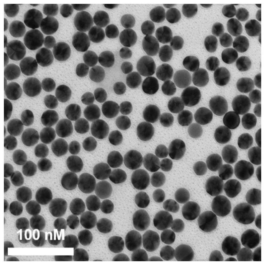 Gold nanoparticles and immunodetection test strip