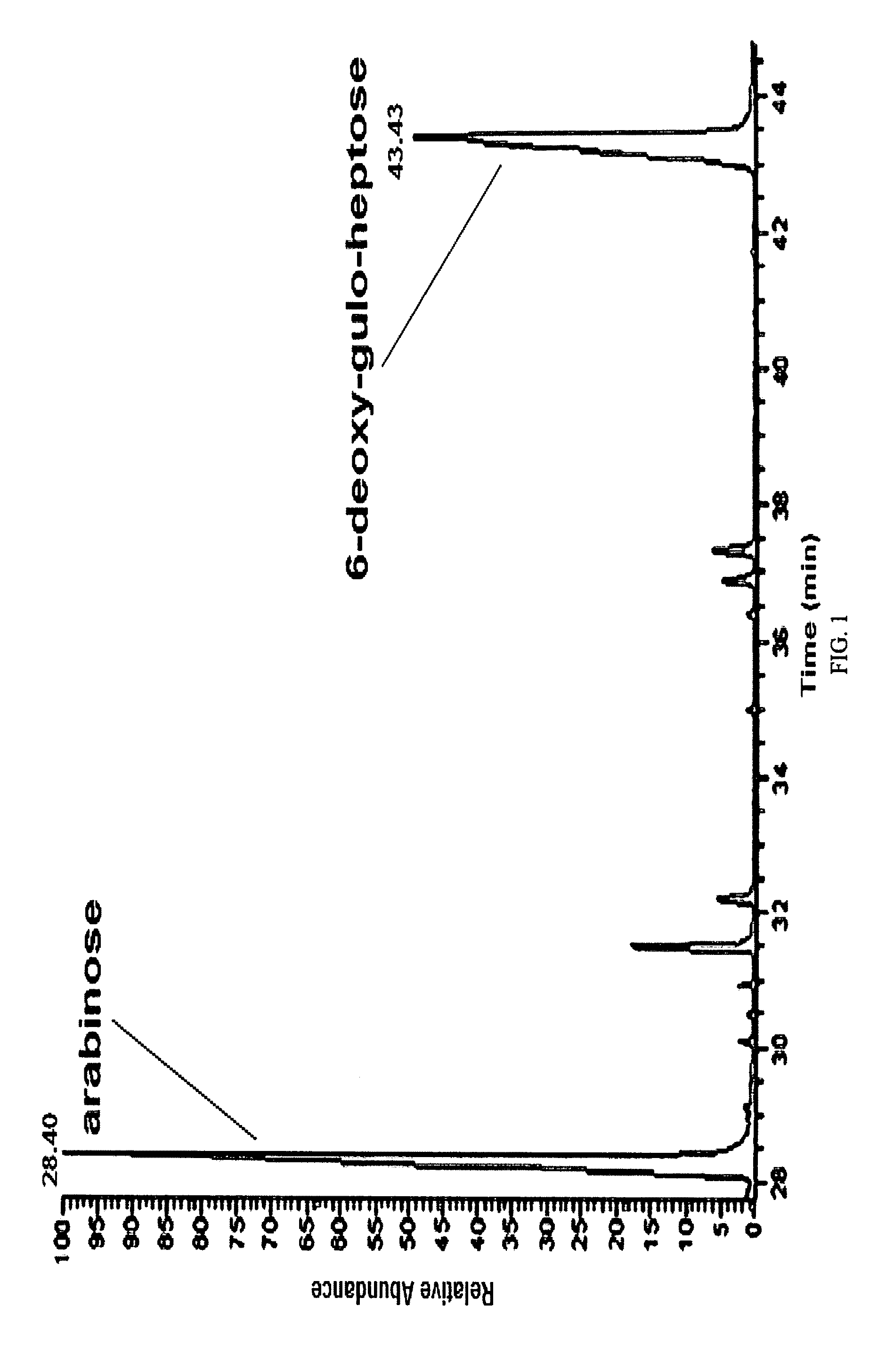 Capsule composition for use as immunogen against Campylobacter jejuni