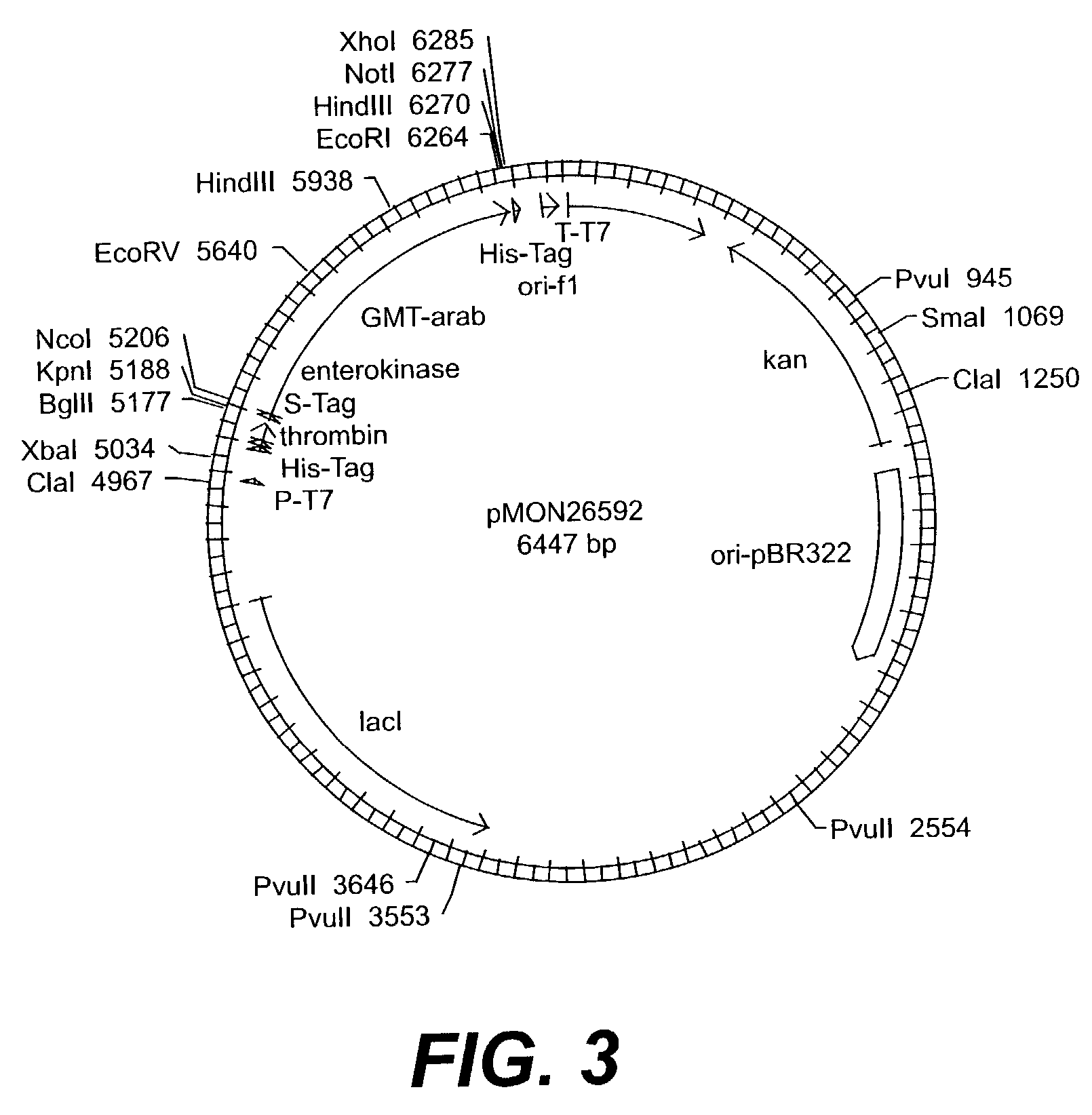 Methyltransferase from cotton and uses thereof