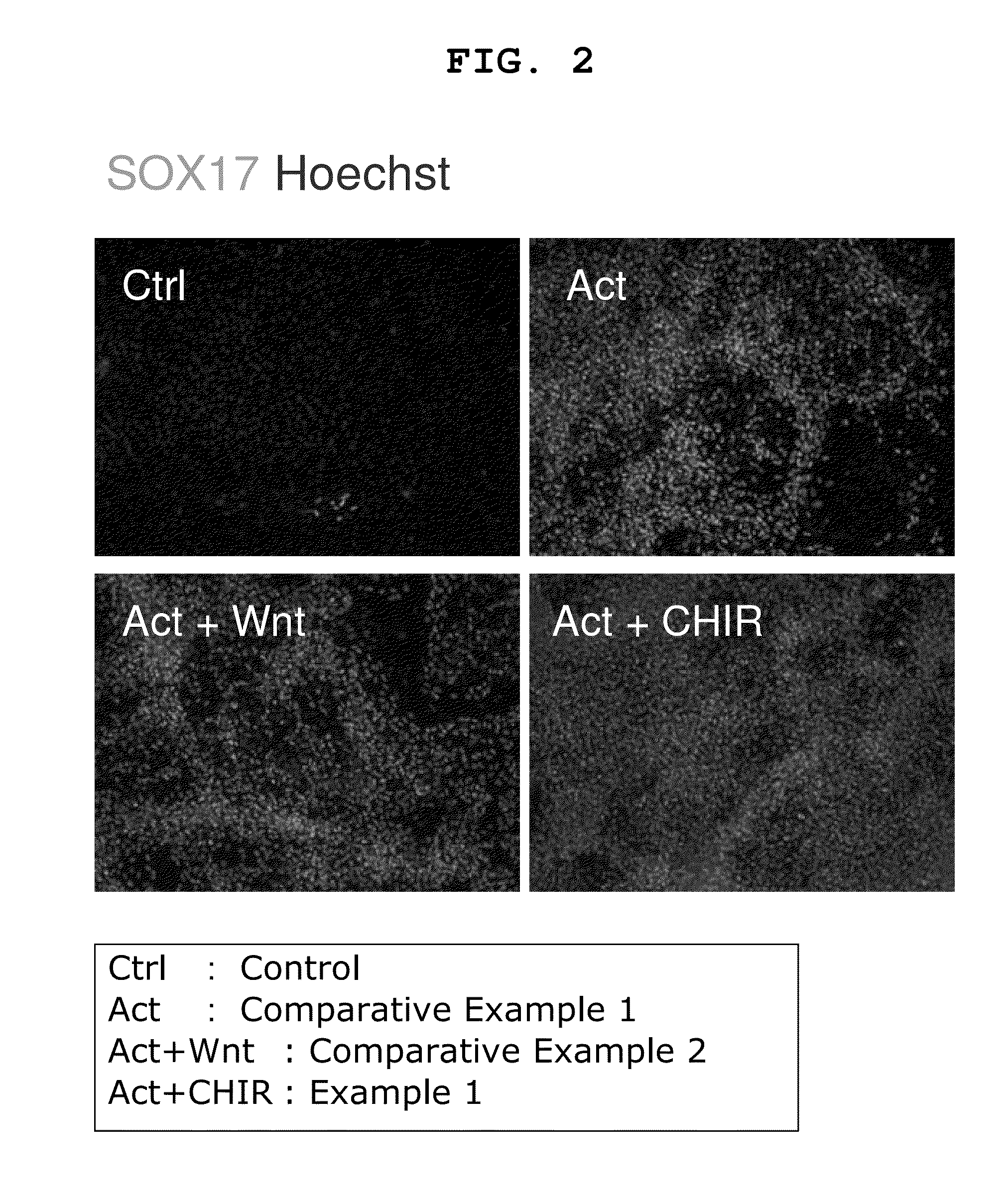 Method for manufacturing pancreatic-hormone-producing cells