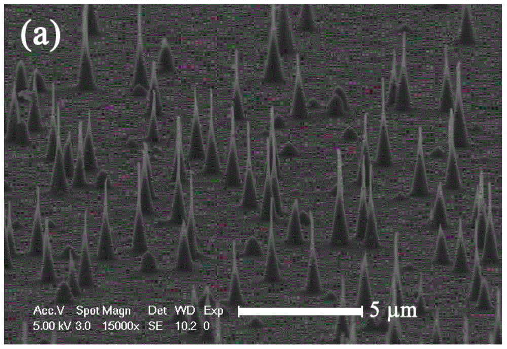 Diamond nanoneedle array composite material and its preparation method and application