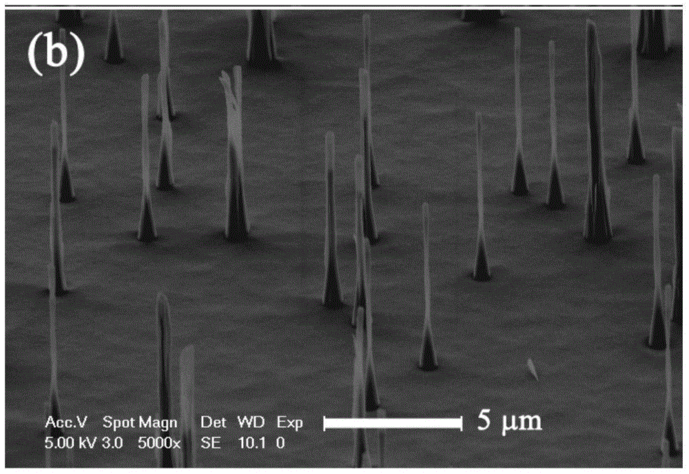 Diamond nanoneedle array composite material and its preparation method and application