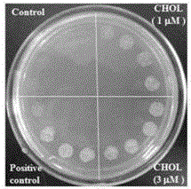 A kind of mussel steroid active component extract and its preparation method and application