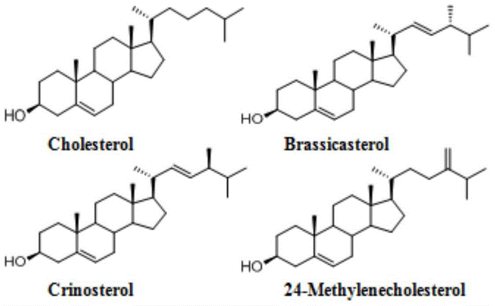 A kind of mussel steroid active component extract and its preparation method and application