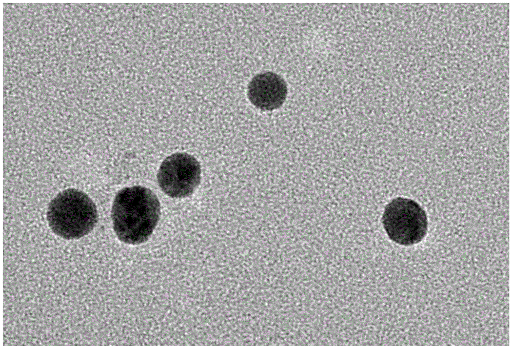 A method for preparing nanoporous structures based on nanoparticle self-assembly and its application