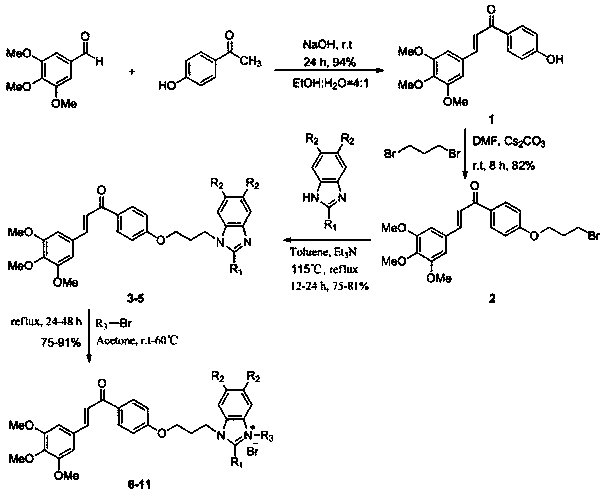 Chalcone-benzimidazole salt compounds and preparation thereof