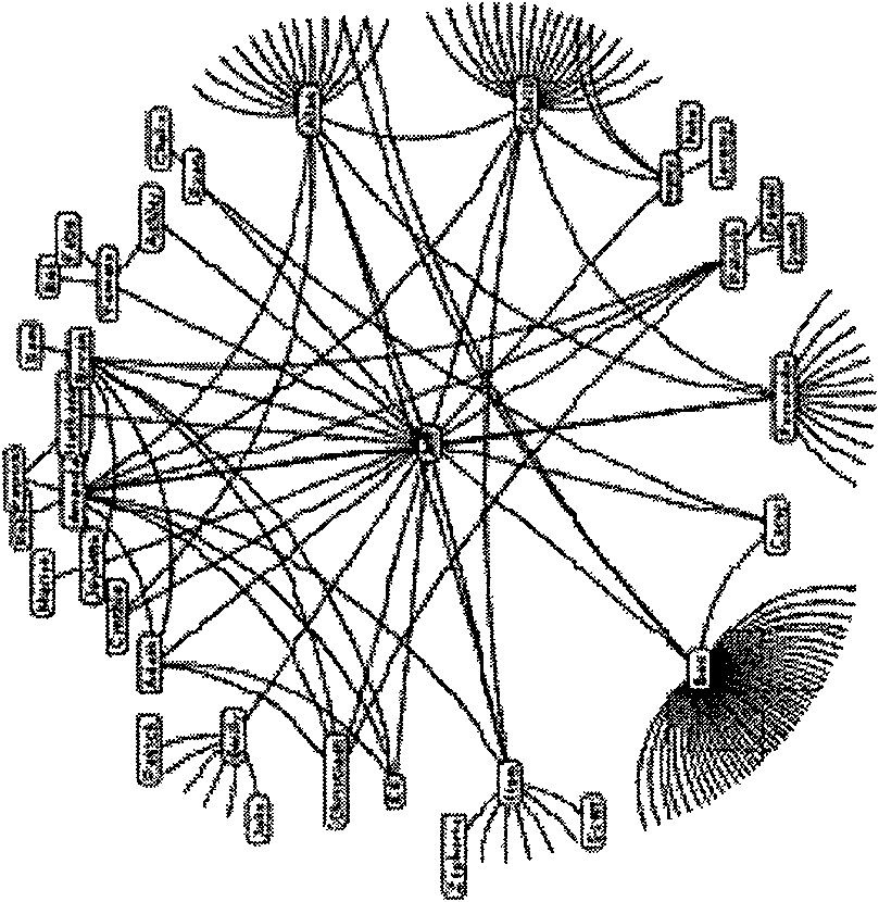 method-and-equipment-for-visualizing-a-great-deal-of-information