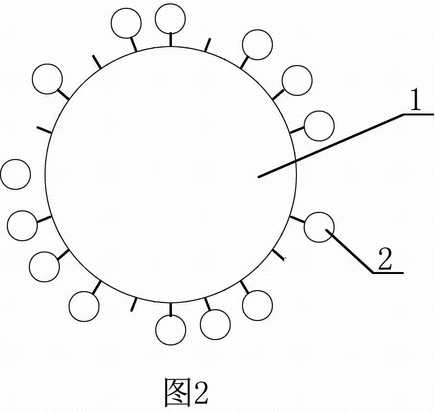 Modified rubber particles for mortar and preparation method of modified rubber particles