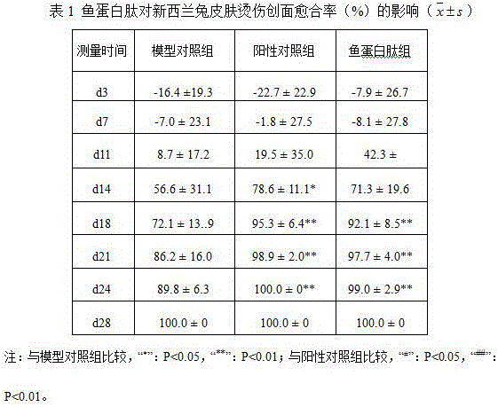 Preparation method of fish protein peptide, prepared fish protein peptide and application