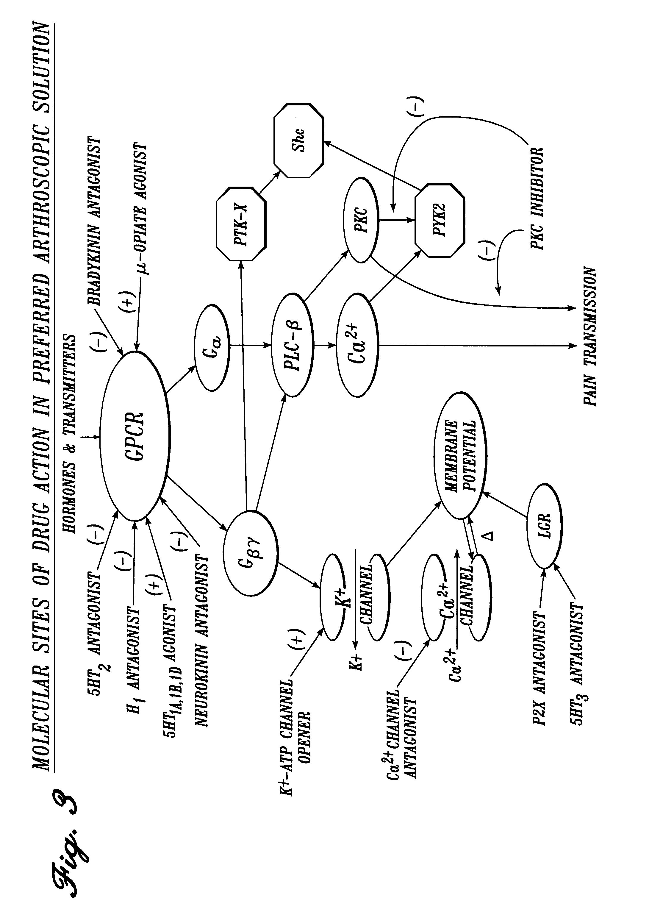 Cardiovascular compositions and methods using combinations of anti-platelet agents