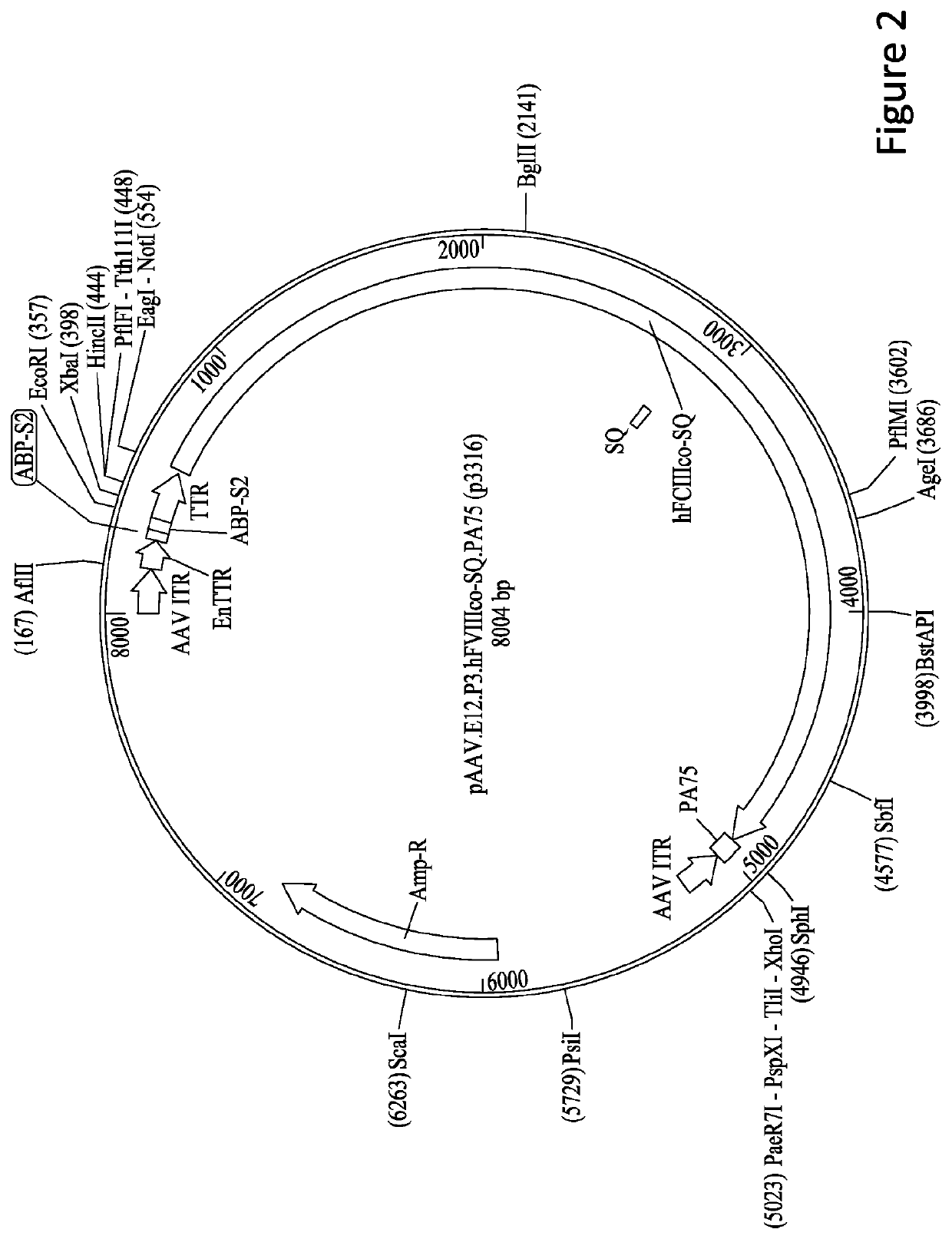 Gene therapy for treating hemophilia a