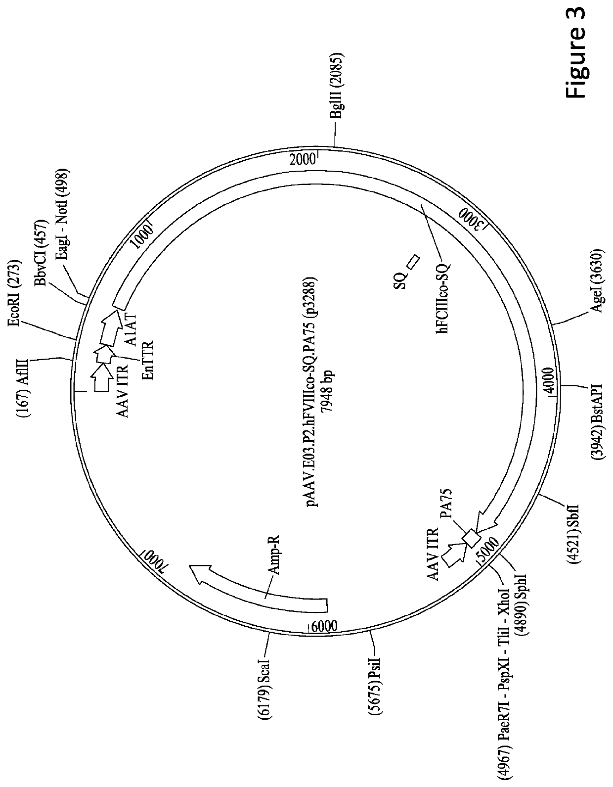 Gene therapy for treating hemophilia a