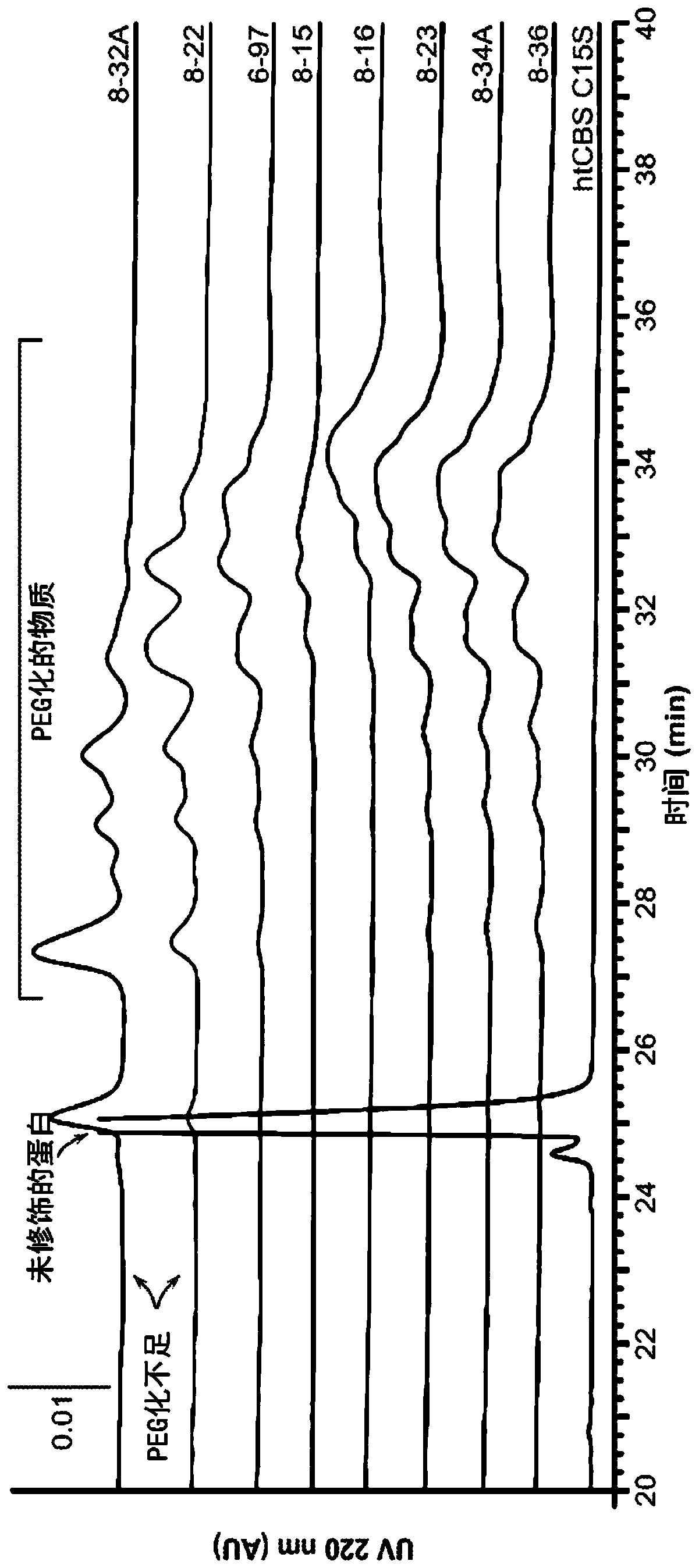 Optimization of enzyme replacement therapy for treatment of homocystinuria