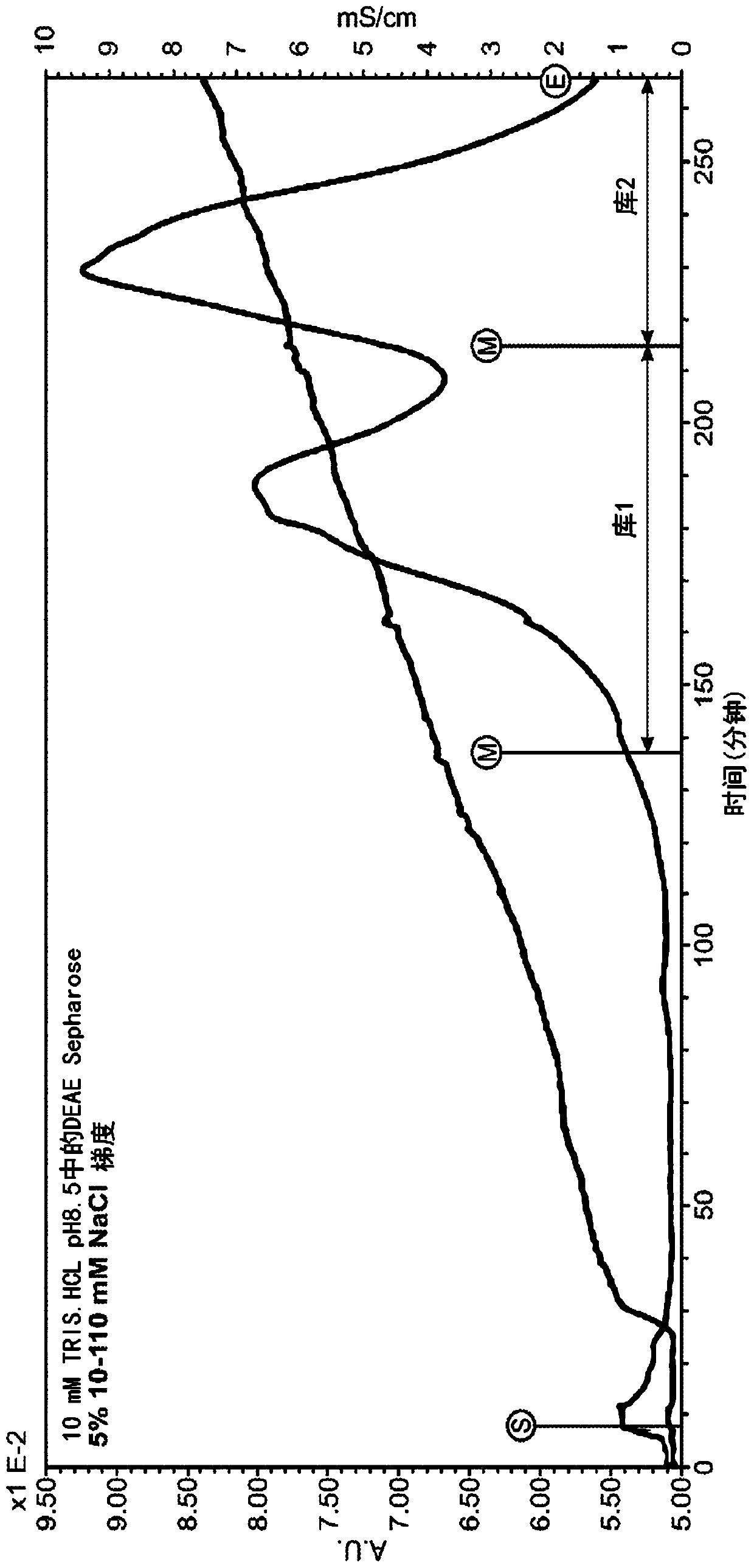 Optimization of enzyme replacement therapy for treatment of homocystinuria