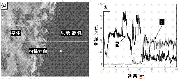 Hydroxyapatite activated titanium alloy surface-layer biological composite material and preparation method thereof