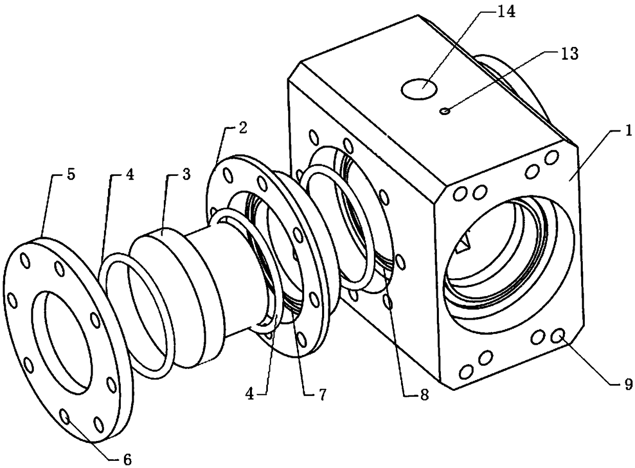 Optical rapid compression machine combustion cylinder capable of realizing shooting by schlieren method