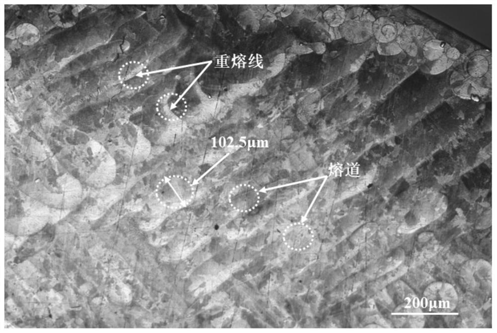 A kind of electrochemical etchant showing the metallographic structure of SLM formed in 718 nickel-based superalloy and its application method