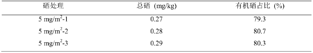 Cultivation method of selenium-enriched codonopsis tangshen Oliv.