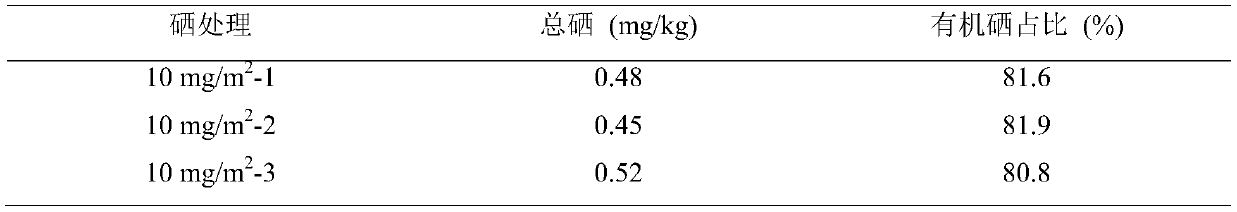 Cultivation method of selenium-enriched codonopsis tangshen Oliv.