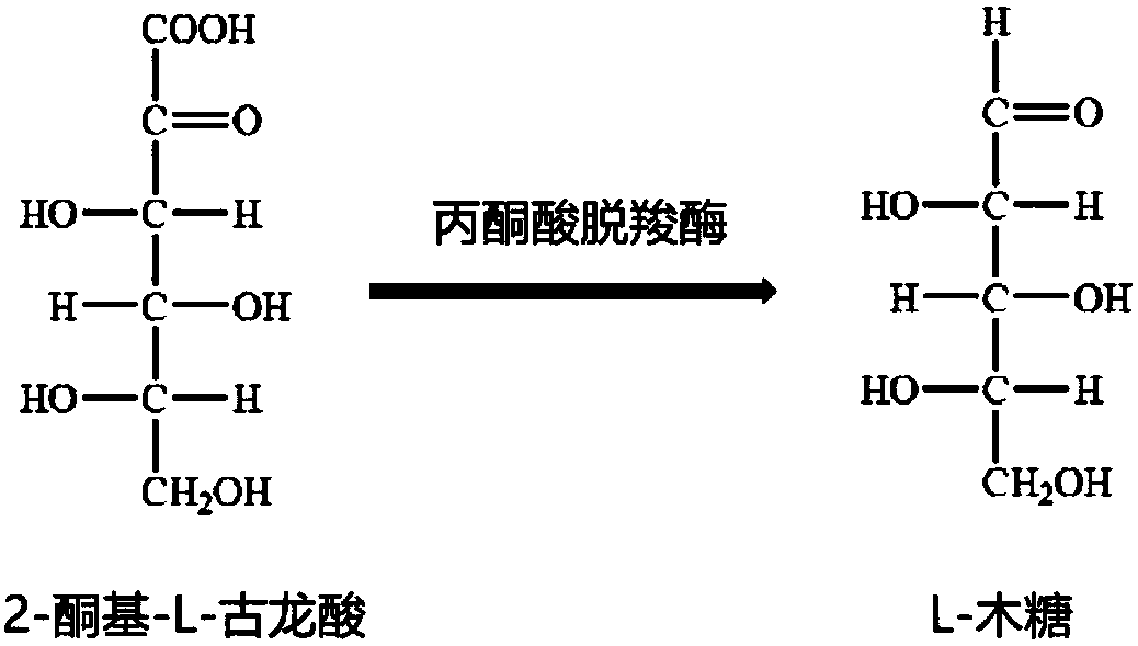 Enzymatic method for preparing L-xylose