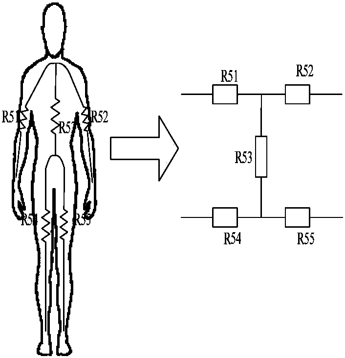 Eight-section impedance model based body composition analysis method