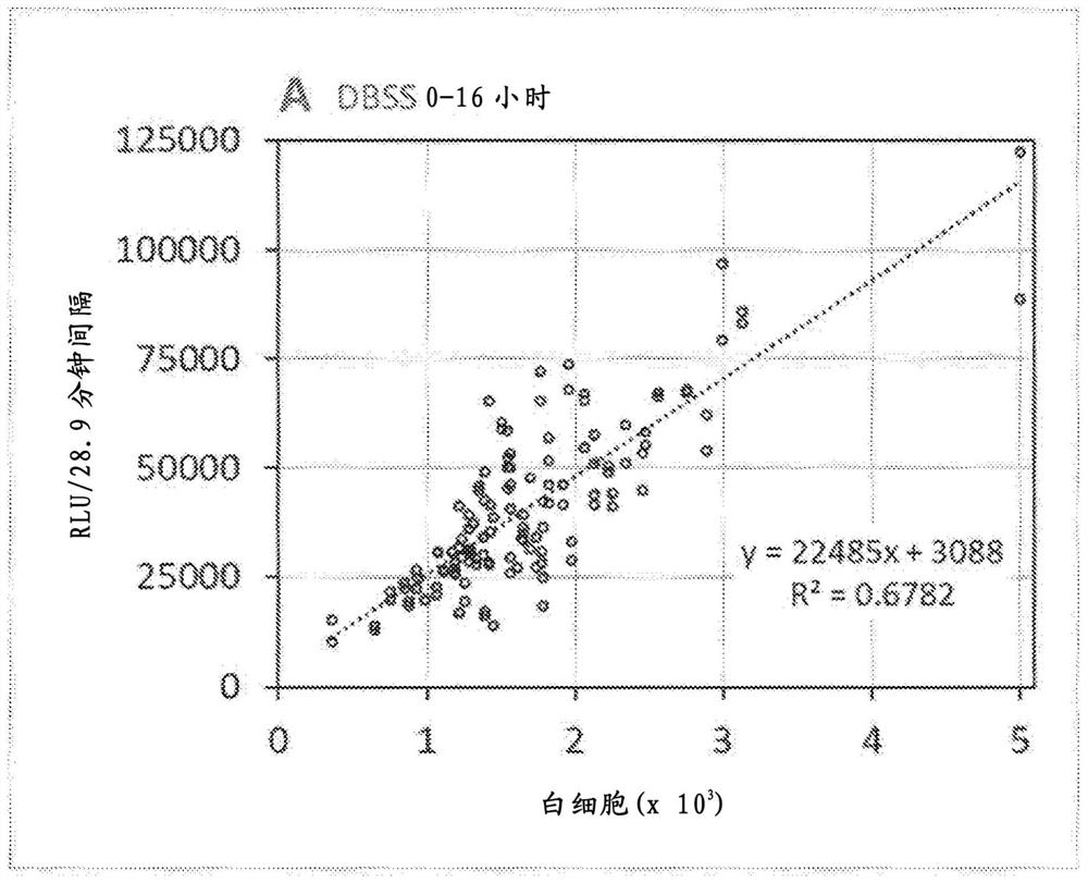 Oxidase-based chemiluminescent assay of phagocytic leukocytes in whole blood and bodily fluids suitable for point-of-care (POC) measurements for point-of-care (POC) diagnostic testing of absolute neutrophil function (ANF)