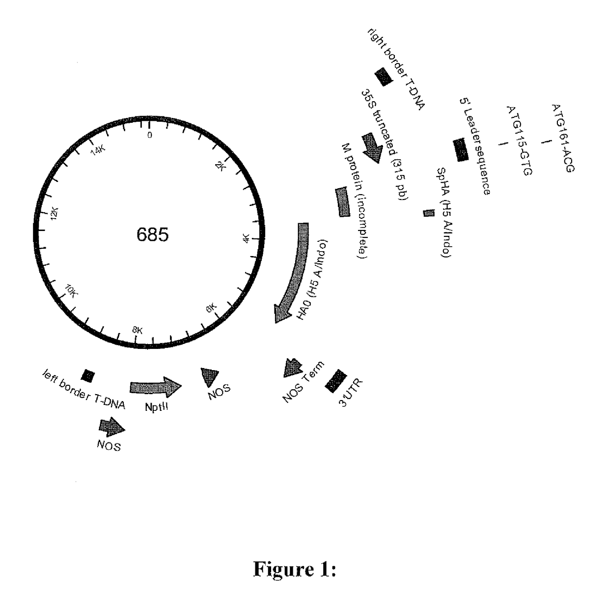 Method for recovering plant-derived proteins