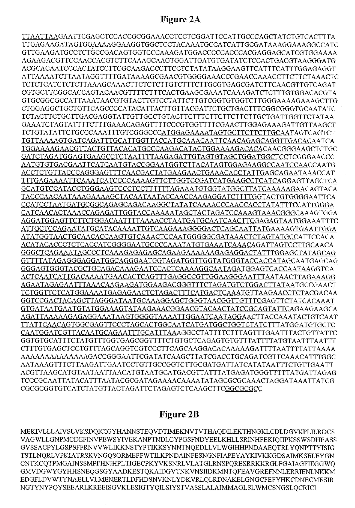 Method for recovering plant-derived proteins