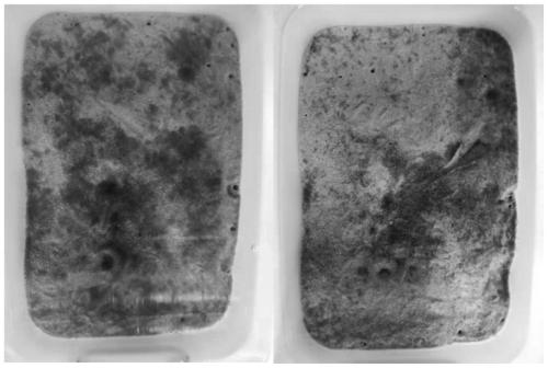 Indoor high-density breeding method of sipunculus nudus