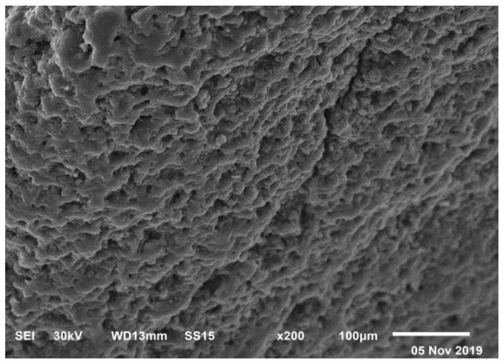 Preparation method and application of iron alloy catalyst