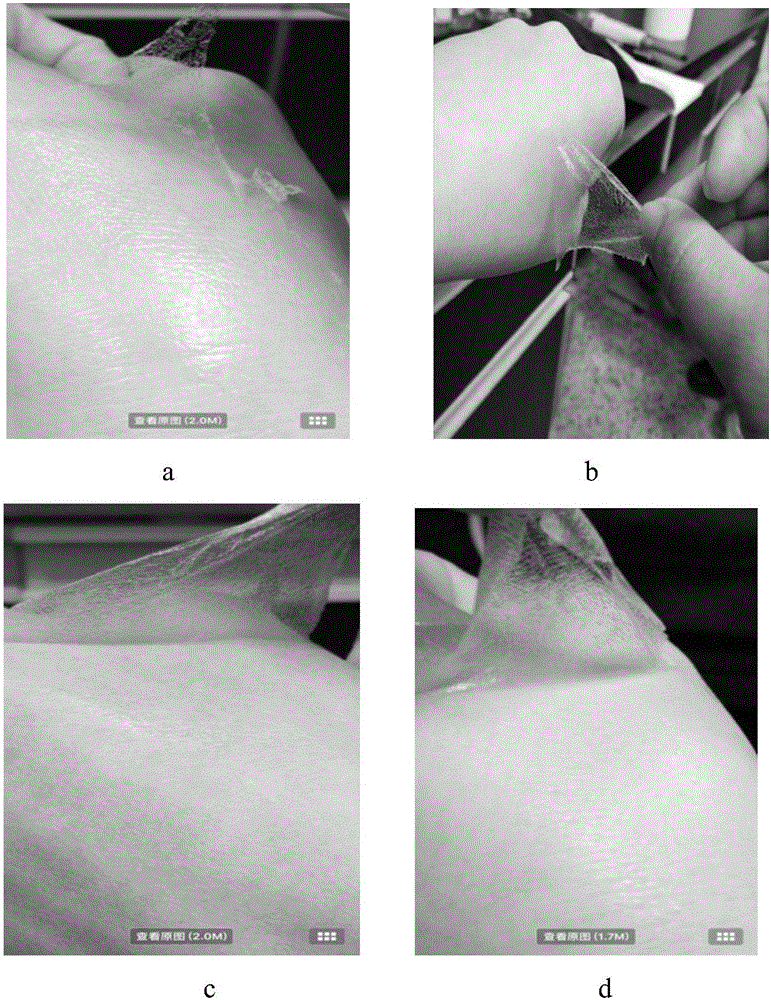 Heat clearing and pain alleviating veterinary flunixin meglumine coating agent for animals and preparation method thereof