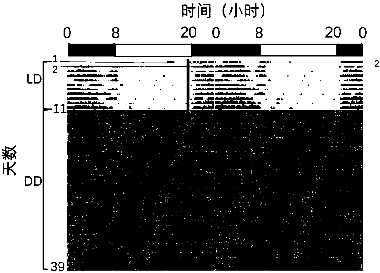 Composition for improving sleep and preparation thereof