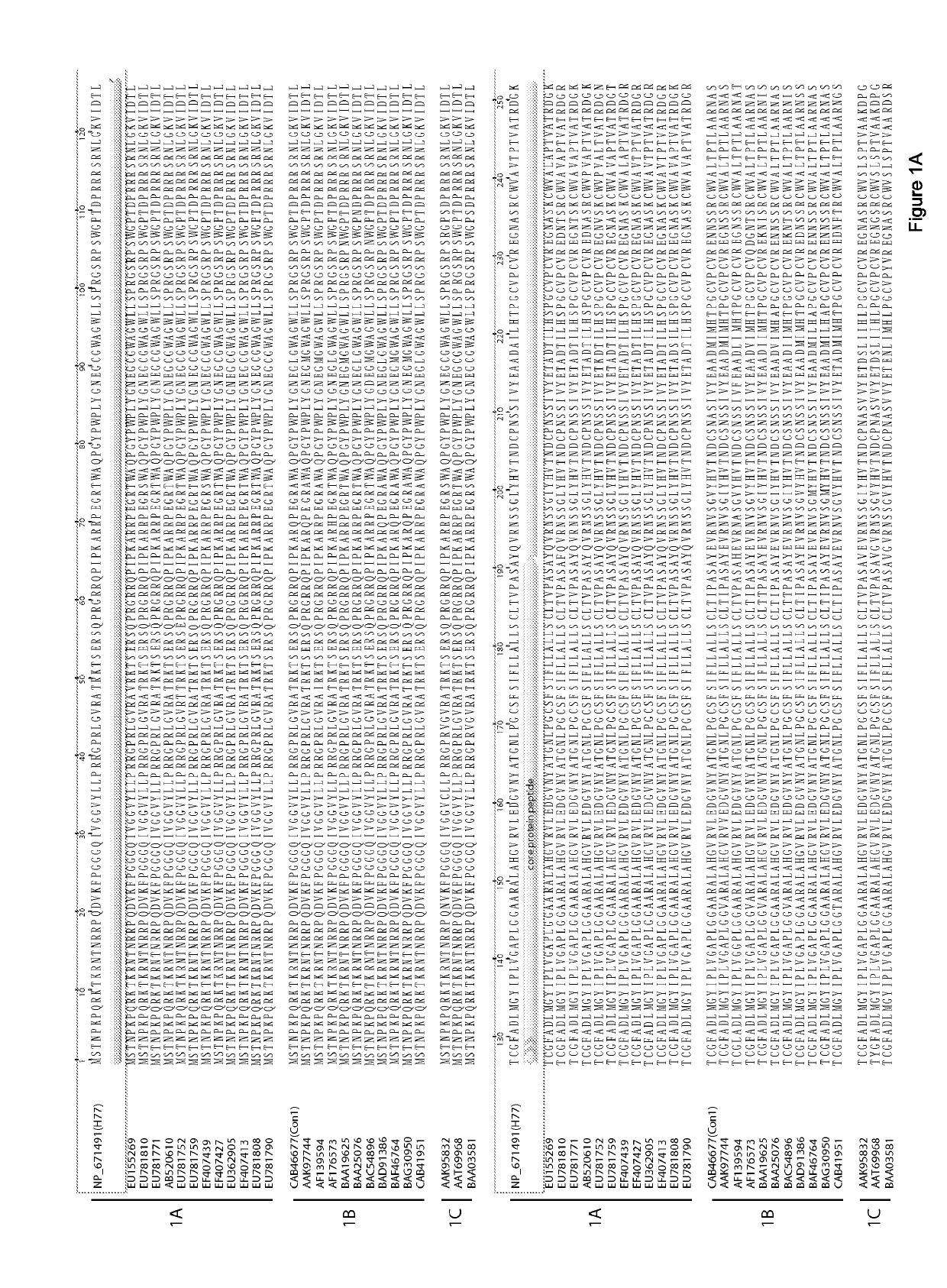 E1e2 hcv vaccines and methods of use