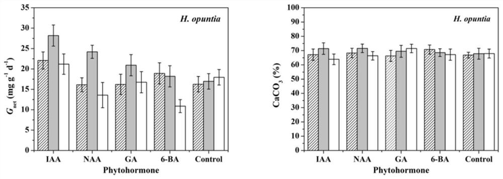Application of Phytohormones in Promoting Growth Rate, Calcification and Photosynthesis of Macroalgae