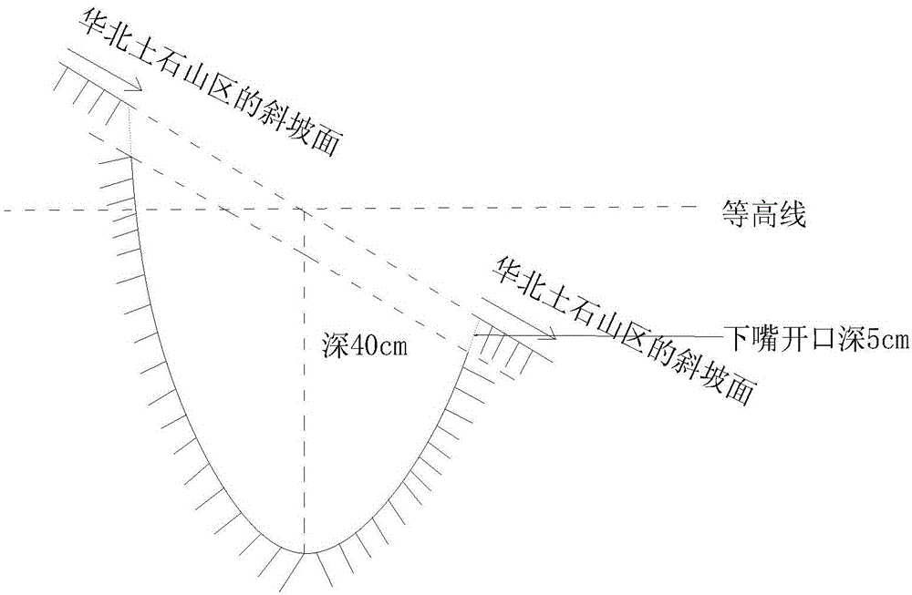 Inclined fish-scale pit forestation land preparation technology suitable for earth-rock mountain area in north China