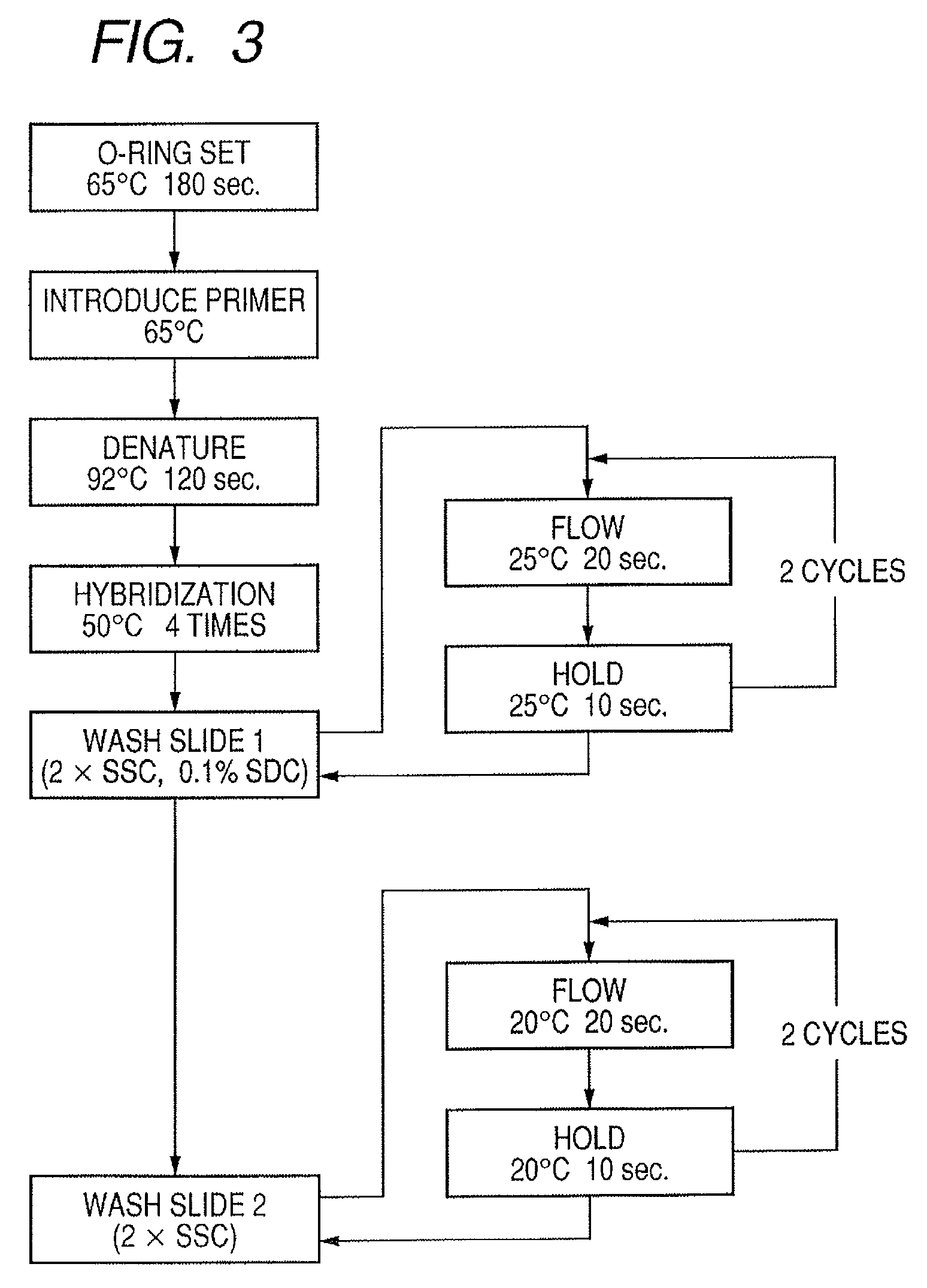 Probe, probe set, probe carrier, and testing method for detecting DNA of Candida parapsilosis