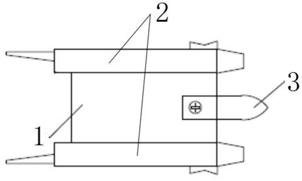 Double-blade grafting method for elaeagnus mollis