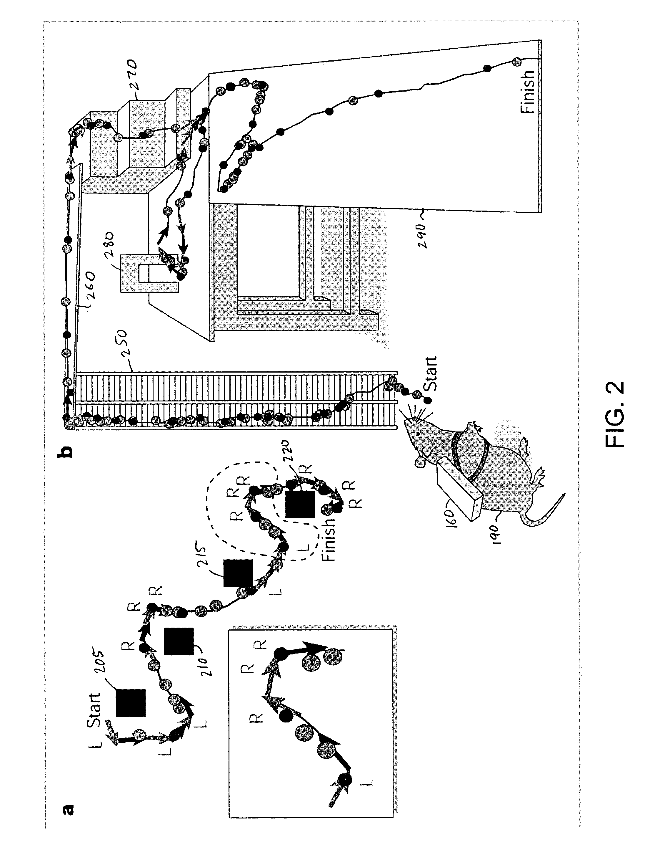 Method and apparatus for guiding movement of a freely roaming animal through brain stimulation