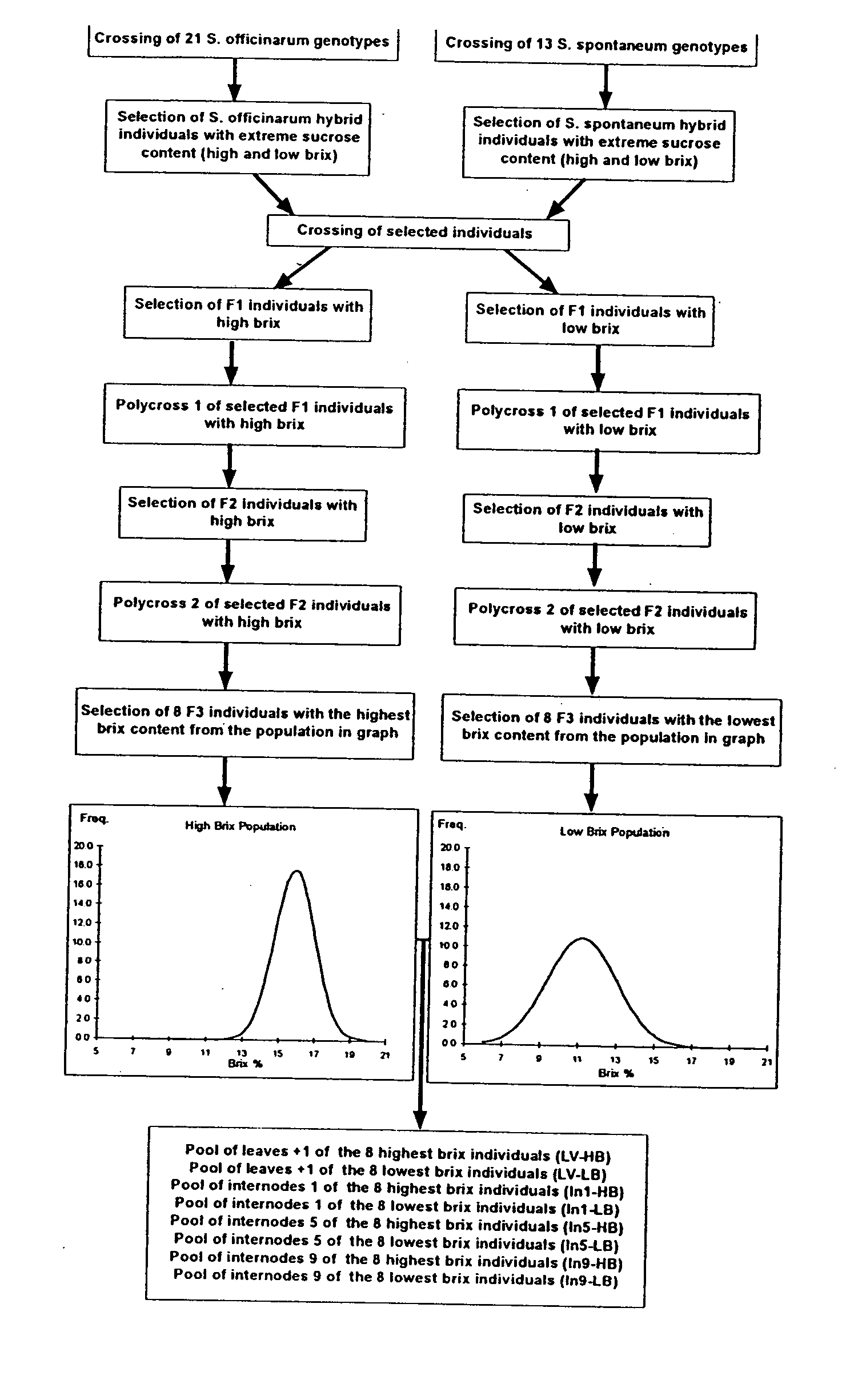 Genes associated to sucrose content