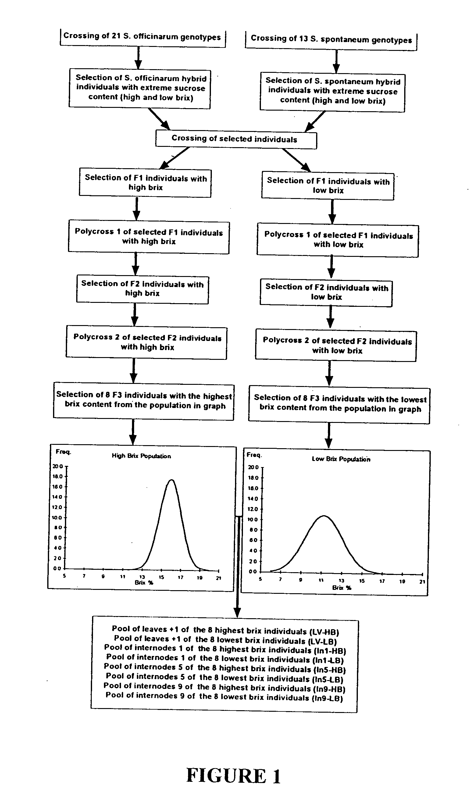 Genes associated to sucrose content