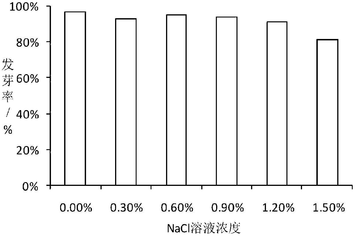 Method for breaking hard seeds of alhagi sparsifolia and determining salt tolerance of hard seeds during germination