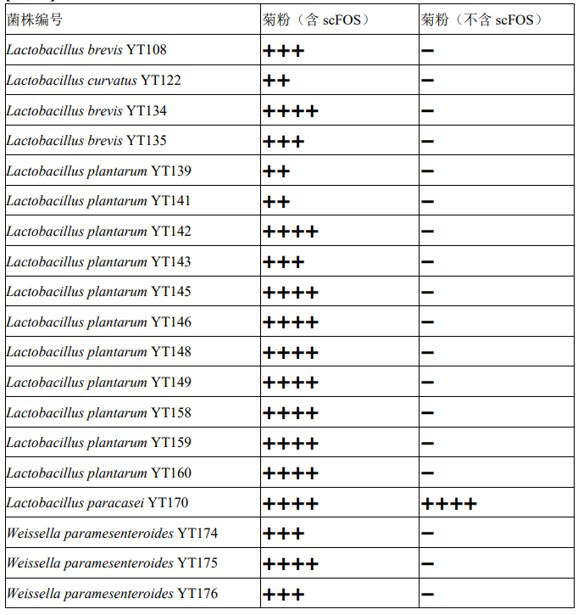 Lactobacillus paracasei YT170 and application thereof