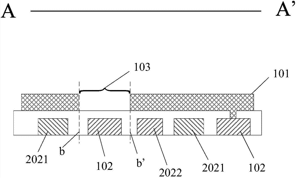 Touch control display panel and touch control display device