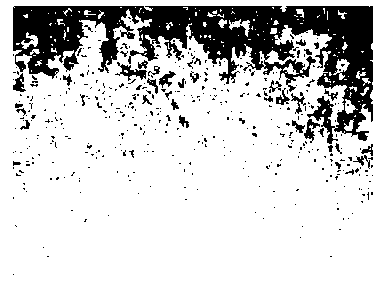 Coating for Fe-based nanocrystalline magnetically soft alloy strip and preparation method thereof