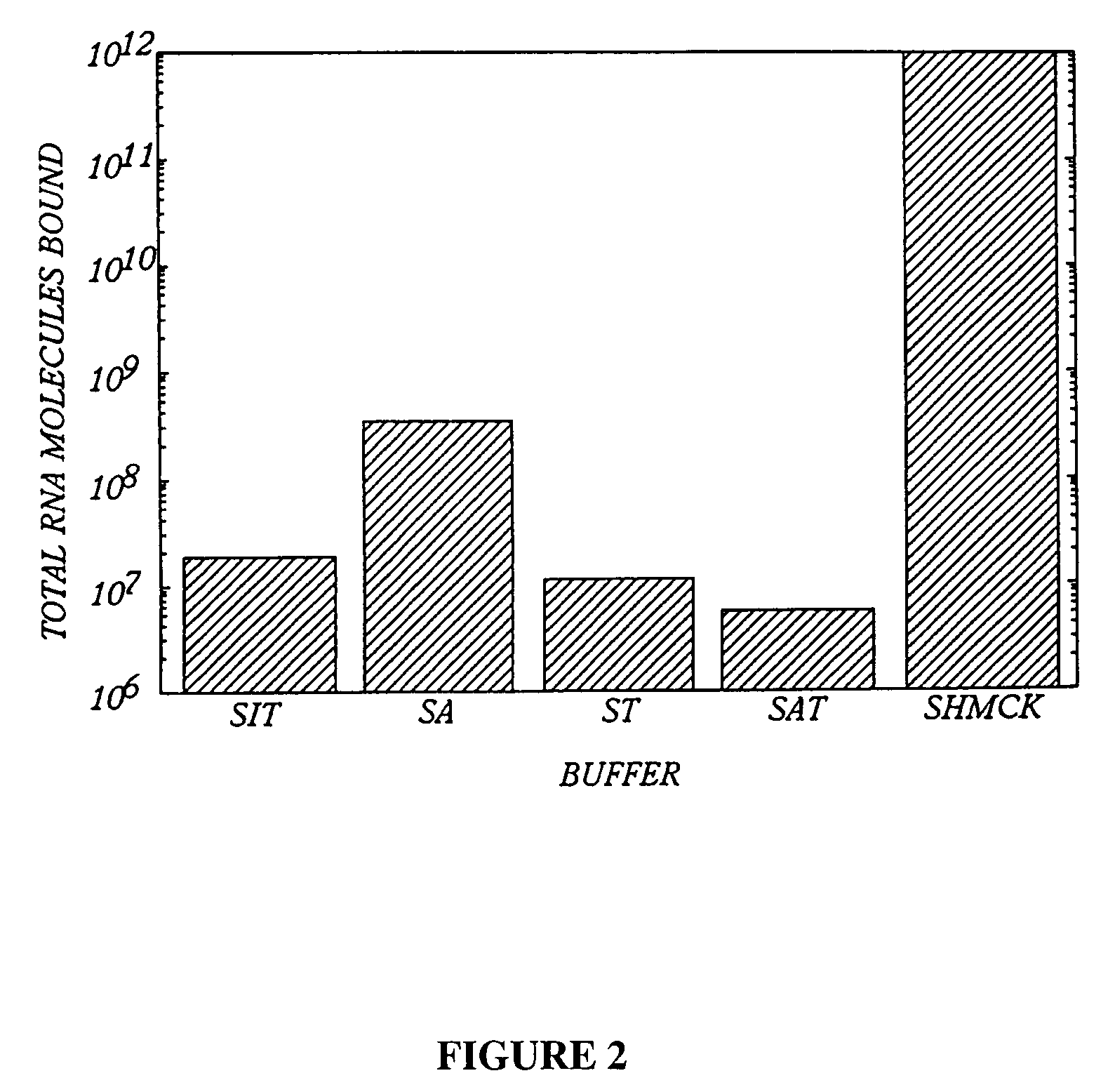 Method and apparatus for the automated generation of nucleic acid ligands