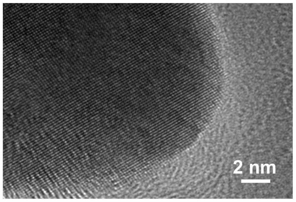 Cobalt-based multifunctional catalyst simulating branch and leaf structure of pinus thunbergii and preparation method of cobalt-based multifunctional catalyst